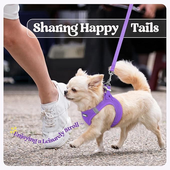 rabbitgoo Dog Harness Small Medium Sized and Leash Set, Step in Soft Light Puppy Vest, Breathable Mesh Pet Harness, Reflective for Safe Outdoor Walking, Purple L
