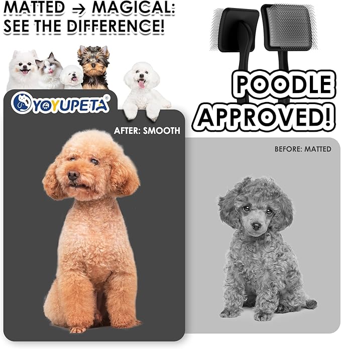 Large Slicker Brush for Dogs - 3PC Pet Grooming Kit - Undercoat Rake & Stainless Comb | Long Pins Remove Mats on Poodles, Golden, Labradoodles | Thick Coat Deshedder for Dogs, Cats, Black