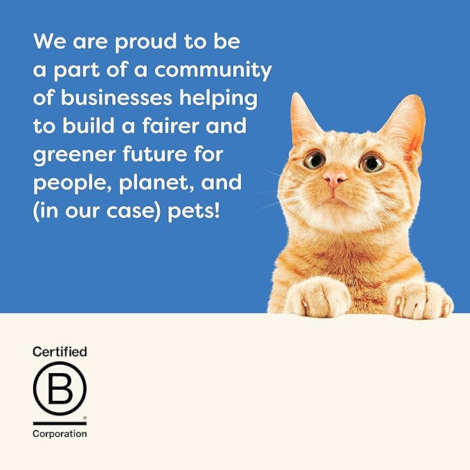 Applaws Natural Wet Cat Food in Gravy, Limited Ingredient Canned Wet Cat Food, No Additives, Made with Natural Ingredients, Tuna Fillet with Salmon in Gravy (24 x 2.47oz Cans)