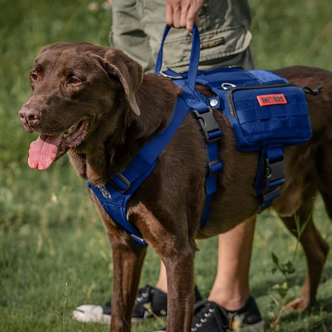 OneTigris Service Dog Vest Harness, Service Dog Cape Guardian Dog Backpack Harness with Pouches Dog Saddle Bag for Small Medium and Large Dogs (Blue, Small)