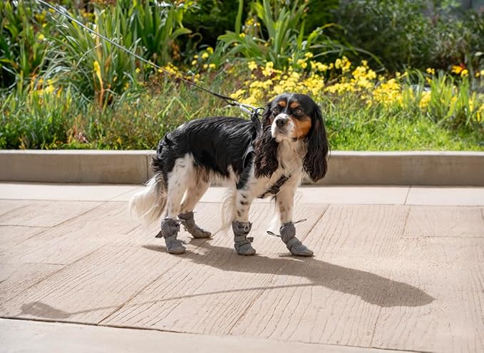 Canada Pooch Dog Boots for Hot Pavement - Dog Boots & Paw Protectors with Anti Slip Rubber | Water Friendly, Breathable Dog Shoes for Hot Days, Great for Dogs Grey - Size 5