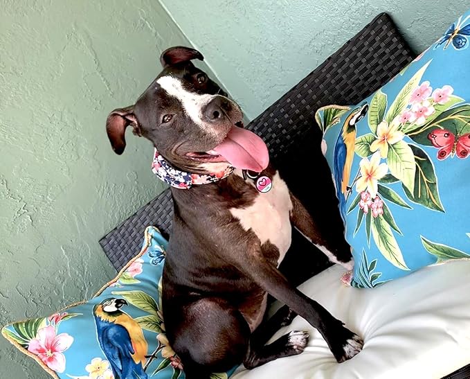 LYP Original Soundless Pet ID Tags | Custom Dog Tags Personalized for Pets | Durable Silicone Deep Engraved Dog Tag | No More Jingling | Pink Heart