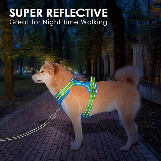 PHOEPET No Pull Dog Harness, Unique Colors Reflective Adjustable Dog Vest, with Soft Training Handle Metal Clips for Small Medium Large Dogs (Blue Base & Green Straps,XL)