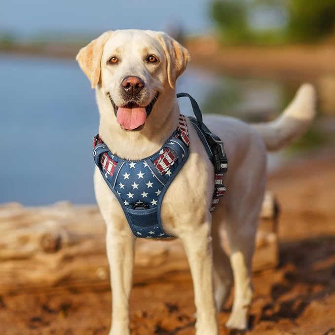 rabbitgoo Dog Harness No Pull with 2 Leash Clips, Adjustable Soft Padded, Reflective Oxford No Choke Pet Vest with Easy Control Handle for Large Dogs, Blue Star, XL