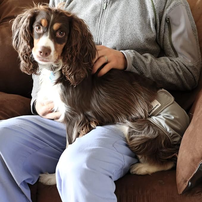 Pet Parents® Washable Dog Diapers (3pack) + Extendrs® of Durable Doggie Diapers, Premium Dog Diapers Female (Medium, Natural)