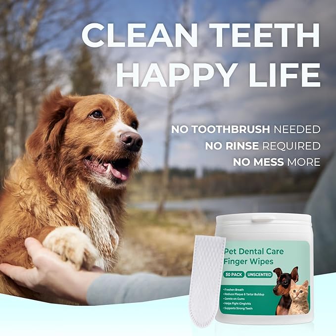 Dog Teeth Cleaning Wipes 50 Pack, Reduces Plaque and Freshens Breath, Dog Dental Wipes Dog Tooth Brushing Kit, No-Rinse Dog Toothbrush Finger Wipes Dental Care for Dogs Cats