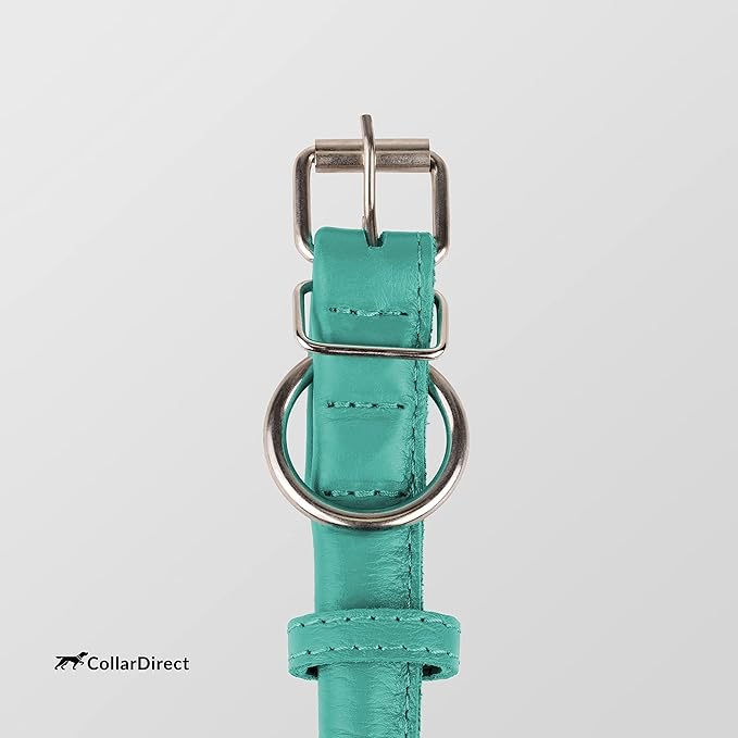 CollarDirect Rolled Leather Dog Collar, Soft Padded Round Puppy Collar, Handmade Genuine Leather Collar Dog Small Large Cat Collars 13 Colors (13-16 Inch, Mint Green Textured)
