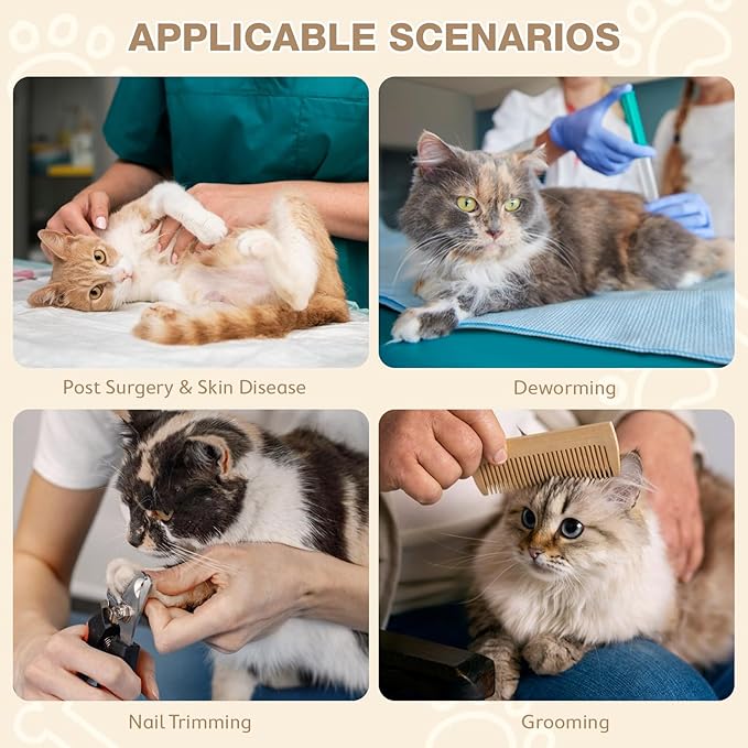 Avont Cat Cone Collar Soft to Stop Licking, Adjustable Foldable Lightweight Kitten Recovery Collar After Surgery for Small Dogs, Elizabeth Cone of Shame Alternative -Strawberry(L)