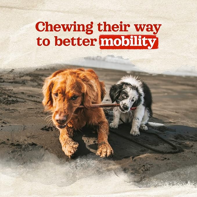 Natural Farm Odor-Free Collagen Chews, (12-Inch, 12-Pack), Long Lasting Bully Sticks & Rawhide Alternative Dog Treats, 95% Collagen, High Protein Best Dental Dog Treats β Medium & Large Dogs