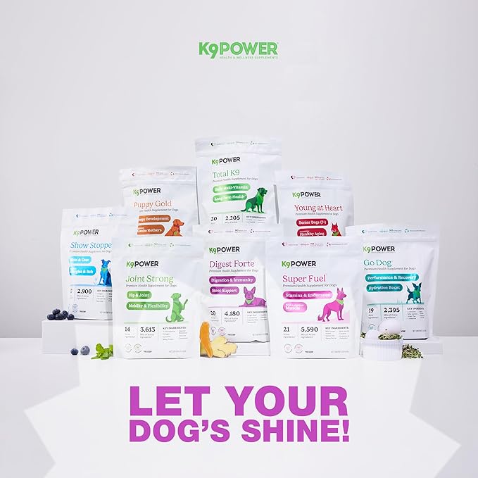 K9 Power Digest Forte for Dogs 1lb – Digestive, Immunity & Calming Support - Enhances Nutrient Absorption - Balances Gut Flora - Eases Discomfort & Boost Mood - Pack of 2