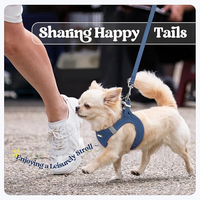 rabbitgoo Dog Harness Small Sized and Leash Set, Step in Soft Light Puppy Vest, Breathable Mesh Pet Harness, Reflective for Outdoor Safe Walking, Navy Blue XXL