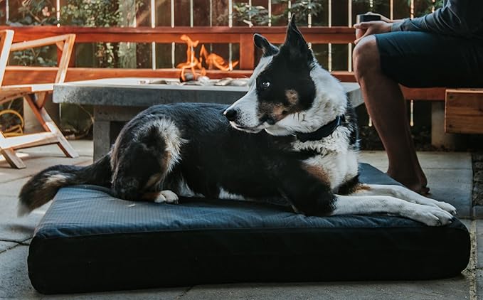 K9 Ballistics Tough Ripstop Orthopedic Rectangle Dog Bed Removable Washable Cover, Solid Orthopedic Foam for X-Large Dogs 54"x38", Obsidian Black