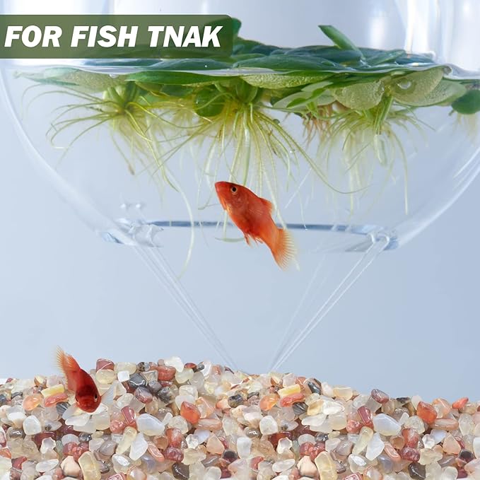 Halatool 2.2LB Crystal Pebbles 0.27"- 0.79" Natural Landscaping Pebbles Aquarium Gravel Decorative Polished Stone Suitable for Plants Home Decoration DIY Handmade Fish Tanks Vase Filler