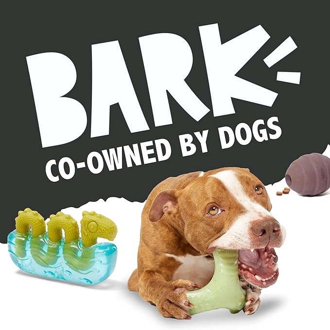 Barkbox Bear Hugger Dog Toy for Aggressive Chewers | 2-in-1 Plush & Rubber Treat-Dispensing Toy for Small Dogs | Puppy Teething Toys & Dog Toys to Keep Them Busy