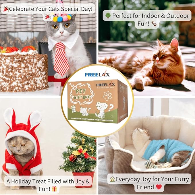 Eco-Friendly Cat Gift Box β 7-Piece Set with Organic Catnip Toys, Feather Wand, Blanket & Pop-Up Cat Cave for Indoor Cats and Kittens