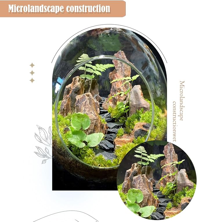 Aquariums Stones Natural Rocks 3Lb Aquarium Rock for Fish Tank Aquascaping,Aquariums,Terrariums,Vivariums,Decorative Stone,Reptile Enclosures,Paludariums,and Gardens-(2-5 Inch)