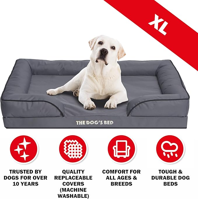 The Dog’s Bed, Orthopedic Standard Foam Waterproof Dog Bed with Standard Support, XL Grey with Black Trim, Waterproof, Supportive Dog Bed with Replaceable Covers, Veterinary Approved