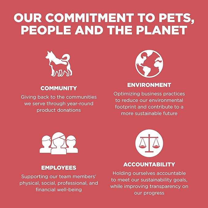 Go! Solutions Sensitivities Limited Ingredient, Grain-Free Dry Cat Food, Salmon Recipe for Sensitive Stomach, 6 lb Bag