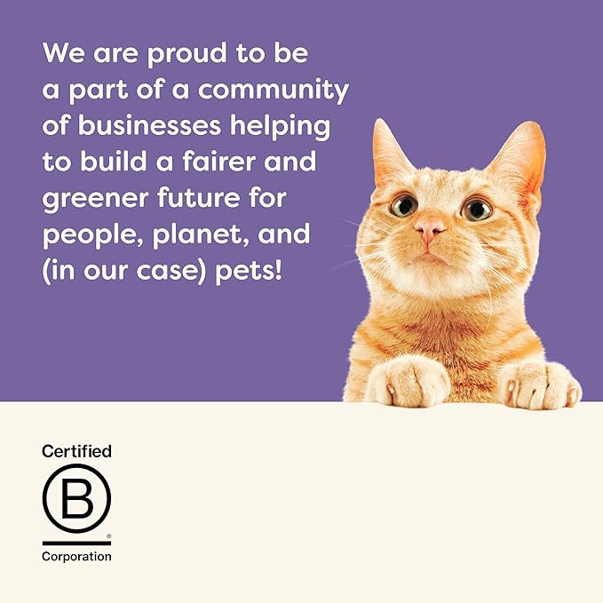 Applaws Natural Wet Cat Food in Gravy, Limited Ingredient, Grain-Free, No Artificial Cat Food Cups, Fish Selection in Gravy (18x 2.12 oz Cups)