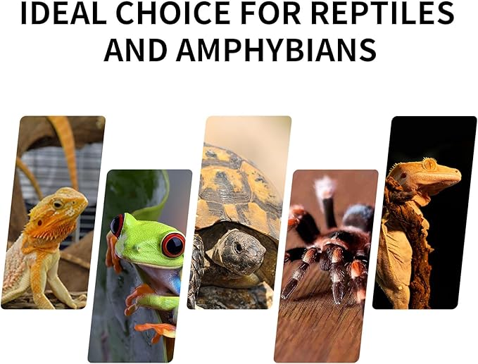 Mini Reptile Glass Terrarium Tank 8"x8"x12“ Full View with Front Opening Door and Enclosure Habitat Cage for Leopard Gecko Tarantula Young Lizard Hermit Crab Frog Insects Breeding Tank