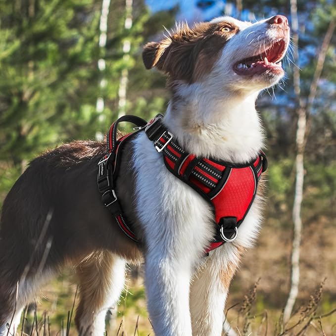 rabbitgoo Dog Harness Medium Sized, No Pull Dog Vest with 3 Buckles, Adjustable Soft Padded Pet Harness with Easy Control Handle and Reflective Strips, Red, M