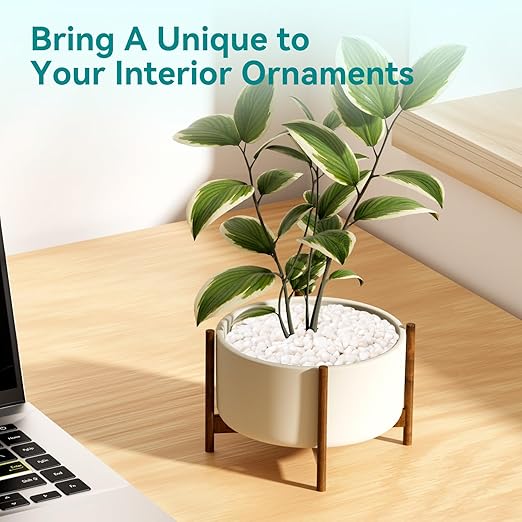 5 lbs Small White Rocks for Planters, 3/8" White Pebbles for Vases, Decorative Small Stones for Plants, Succulents, Bamboo, Terrarium, Landscape, Garden