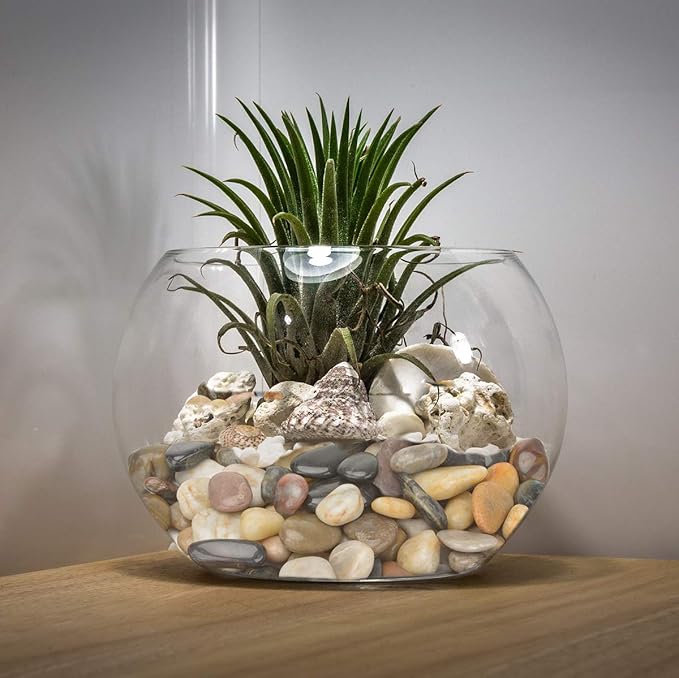 Mr. Fireglass Natural Polished Pebbles, 1 Inch Decorative Mixed Color Stones Aquarium Gravel River Rocks for Vase, Succulents, Landscaping and Home Decor (10-lb Bag)