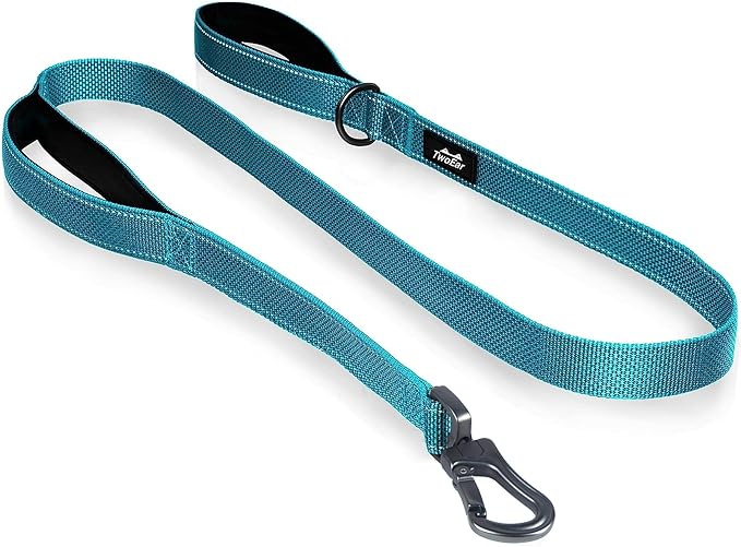TwoEar 4FT 1IN Strong Blue Dog Leash with 2 Padded Handles, Traffic Handle Extra Control, Comfortable Soft Dual Handle, Auto Lock Hook, Reflective Walking Lead for Small Medium and Large Dogs