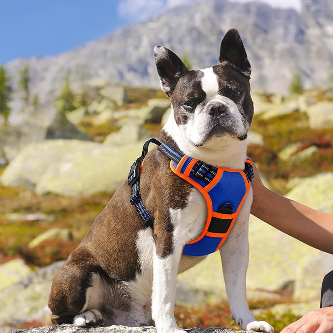 Eagloo Dog Harness for Large Dogs, No Pull Service Vest with Reflective Strips and Control Handle, Adjustable and Comfortable for Walking, No Choke Harness with 2 Metal Rings, Blue & Orange, M