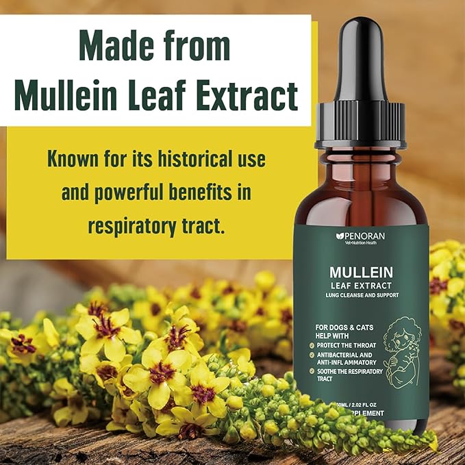 Pet Mullein Leaf Extract Drops for Dogs & Cats Hoarseness, Cough, Easy Breathing, Lung Cleanse and Support, Better Lungs, Soothes Throat Discomfort - 100% Natural and Efficient 