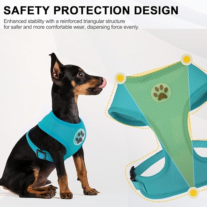 BINGPET Small Dog Harness - Breathable Mesh Puppy Cat Harnesses - No Pull Adjustable Dog Harness Dog Vest Harness for Small and Medium Dogs
