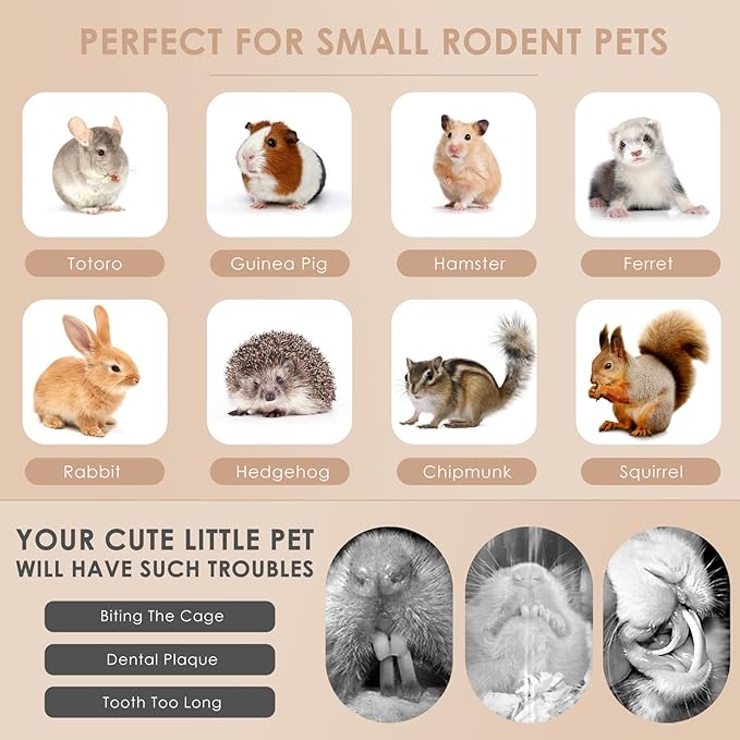 Bissap 700g/1.5Ib Sweet Bamboo Chew Sticks for Rabbits, Bunny Chewing Sticks for Rabbits Hamster Chinchilla Guinea Pigs Rabbit Small Animals Natural Treats Teeth Grinding Toys