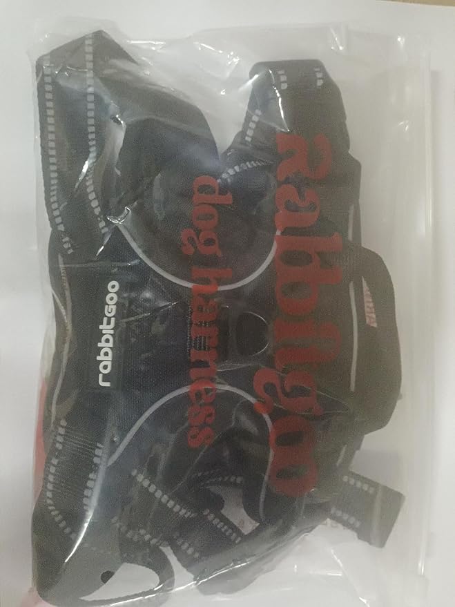 rabbitgoo Dog Harness No Pull with 2 Leash Clips, Adjustable Soft Padded, Reflective Oxford No Choke Pet Vest with Easy Control Handle for Medium Sized Dogs, Blue Coral, M