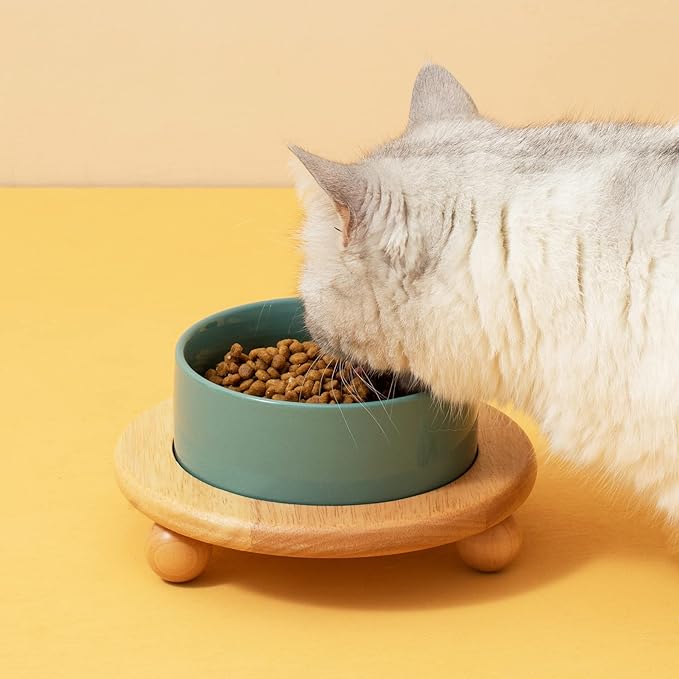 Ceramic Elevated Cat Food and Water Bowl, Kitty Bowl, Raised Cat Dish, Pet Feeder (5.1 in,1 x Dark Green + Stand)