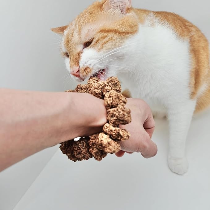 Natural Silvervine Gall Fruit Cat-Attracting Bracelet,Interactive Cat Toy for Indoor Cats,Cat Chew Toy with Gallfruit | Catnip & Silvervine Alternative, Stress Relief & Gift