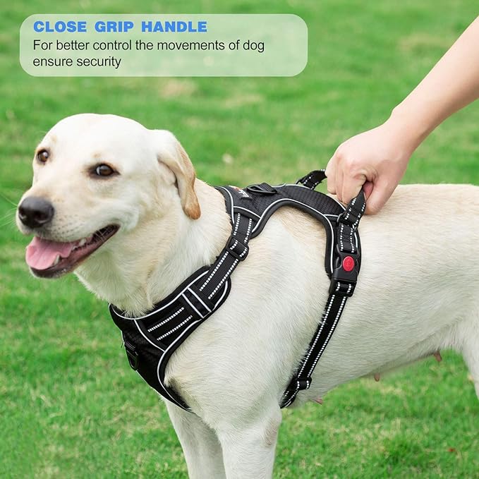 No Pull Harness with A Free Heavy Duty 5ft Leash for Medium Large Dog Adjustable Reflective Oxford Easy Control (L (Neck: 18"-25.5", Chest: 24.5"-33"), Black Harness+Leash)