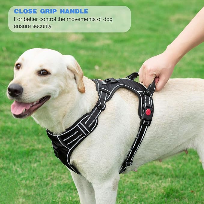 No Pull Dog Harness Adjustable Reflective Oxford Easy Control Medium Large Dog Harness with A Free Heavy Duty 5ft Dog Leash (M (Chest: 22"-26"), Black Harness+Leash)