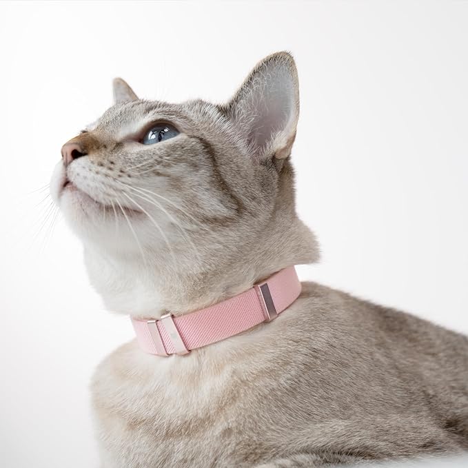 Safety Cat Collar - U.S. IDA Gold Awarding Design, Elastic Quick Release, Non Breakaway - Lightweight for Kitten, Neck Fit 7.8'-15.7' for All Small Large Cat,M(Linen)