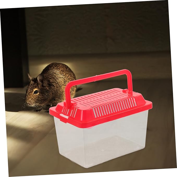 Transparent Plastic Turtle Fish Tank, Reptile Carrier, Feeding Tank, Glass Containers, Amphibia Container, Terrarium, Hamster Cages, Reptiles Commodity Mini