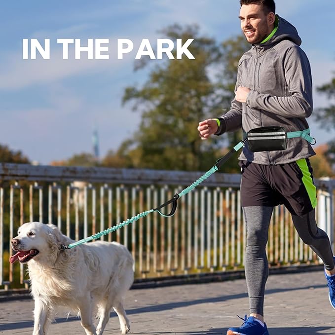 Hands Free Dog Leash, Retractable Bungee with Double Padded Handles, Waist Leash for Dog Walking, Heavy Duty Dog Leash for Medium & Large Dog, Dog Walking Accessories, Green