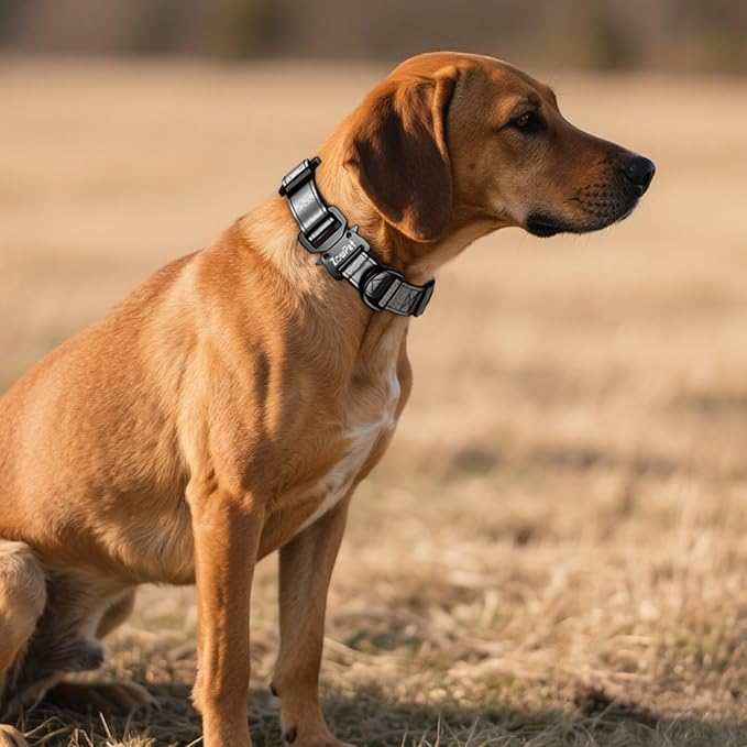 AirTag Dog Collar - Leather Dog Collar with Airtag Holder | IP68 Waterproof AirTag Holder with Metal Buckle, Comfortable GPS Dog Collars Tracker for Medium Large Dogs (Black, XL)