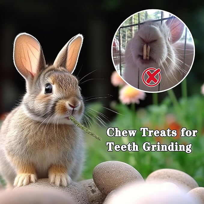 Timothy Hay Pellets 28oz (4 * 7 oz) - 100% Timothy Premium Nutrition Pellet for Tortoise, Rabbits 28 oz