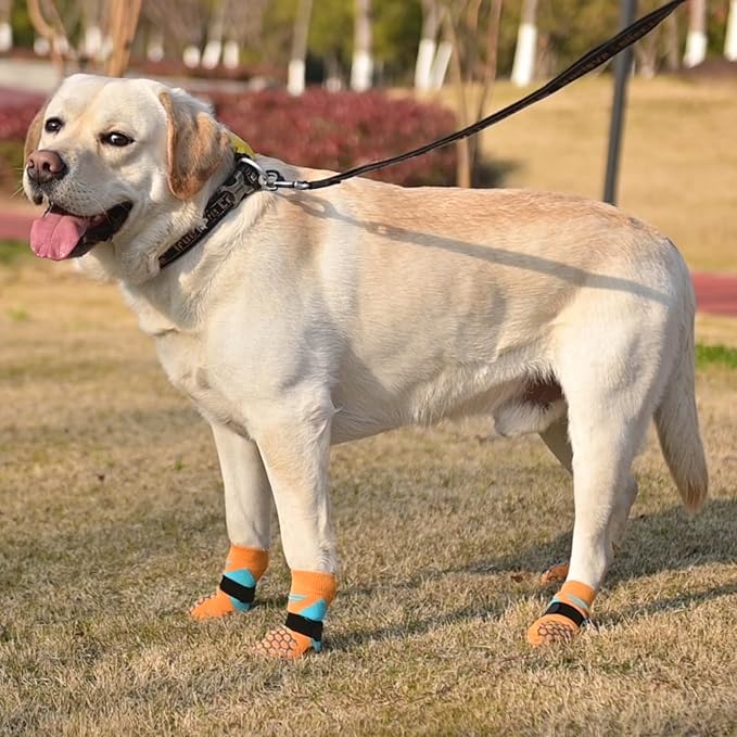KOOLTAIL Dog Socks for Hot Pavement, Summer Breathable Dog Socks to Prevent Licking Paws, Non Slip Pet Boots&Paw Protectors for Hardwood Floor,Grippy Shoes for Small Medium Large Senior Dogs,Orange M