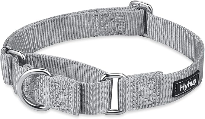 Hyhug Pets Premium Upgraded Heavy Duty Nylon Anti-Escape Martingale Collar for Pup Boy and Girl Dogs Comfy and Safe - Professional Training, Daily Use Walking. (Small, Sleet Gray)