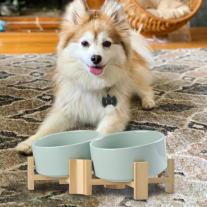 SPUNKYJUNKY 15° Slanted Ceramic Dog and Cat Bowl with Wooden Stand, Tilted Bulldog Food and Water Bowl No Slip Non-Spill for Cats Medium Dogs Big Face Pets 28.7 OZ (3.6 Cups, Morandi Green × 2)