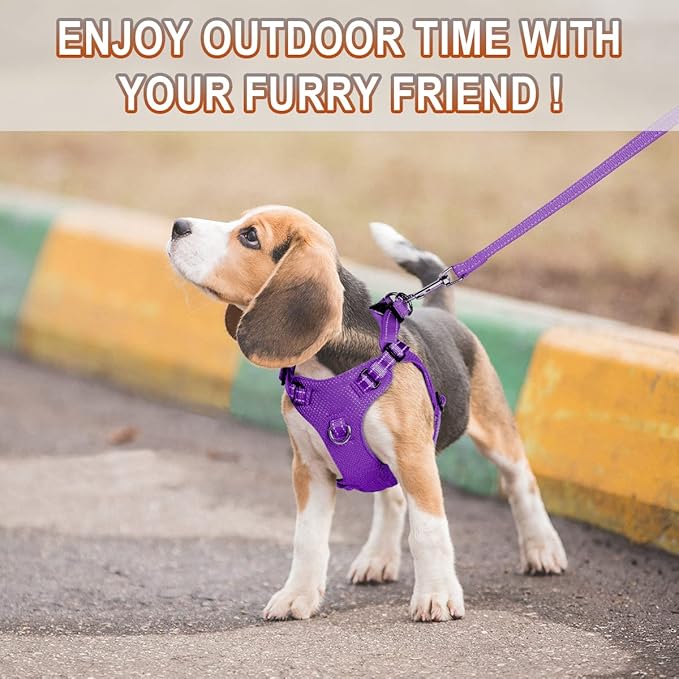 Dog Harness Step in Dog Vest Harness, Reflective Adjustable Puppy No Pull Harness Breathable Soft for Small and Medium Dogs Cats, Purple, XXS