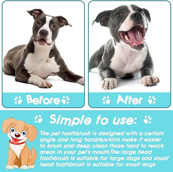 50 Pack Dual Ended Long Dog & Cat Toothbrush, Pet Safe Super Soft Bristles for Pet Dog Puppy Kitten Dental & Oral Care Teeth & Gums, Pet toothbrushes in Box, Bulk Individual polybag (Colorful)