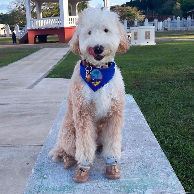 QUMY Dog Shoes for Large Dogs, Medium Dog Boots & Paw Protectors for Winter Snowy Day, Summer Hot Pavement, Waterproof in Rainy Weather, Outdoor Walking, Indoor Hardfloors Anti Slip Sole Khaki 6