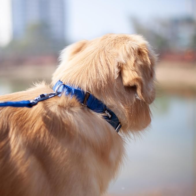 Hyhug Pets Premium Upgraded Heavy Duty Nylon Anti-Escape Martingale Collar for Puppy Dogs Comfy and Safe - Professional Training, Daily Use Walking. (Small, Classic Blue)