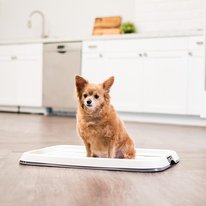 IRIS USA Pee Pad Holder - Medium Dog Pad Holder with Secured Latches, Non-Skid Feet, High Polish Finish for Easy Cleaning, Leak Protection, Fits 17"x23" Pad, Dark Gray